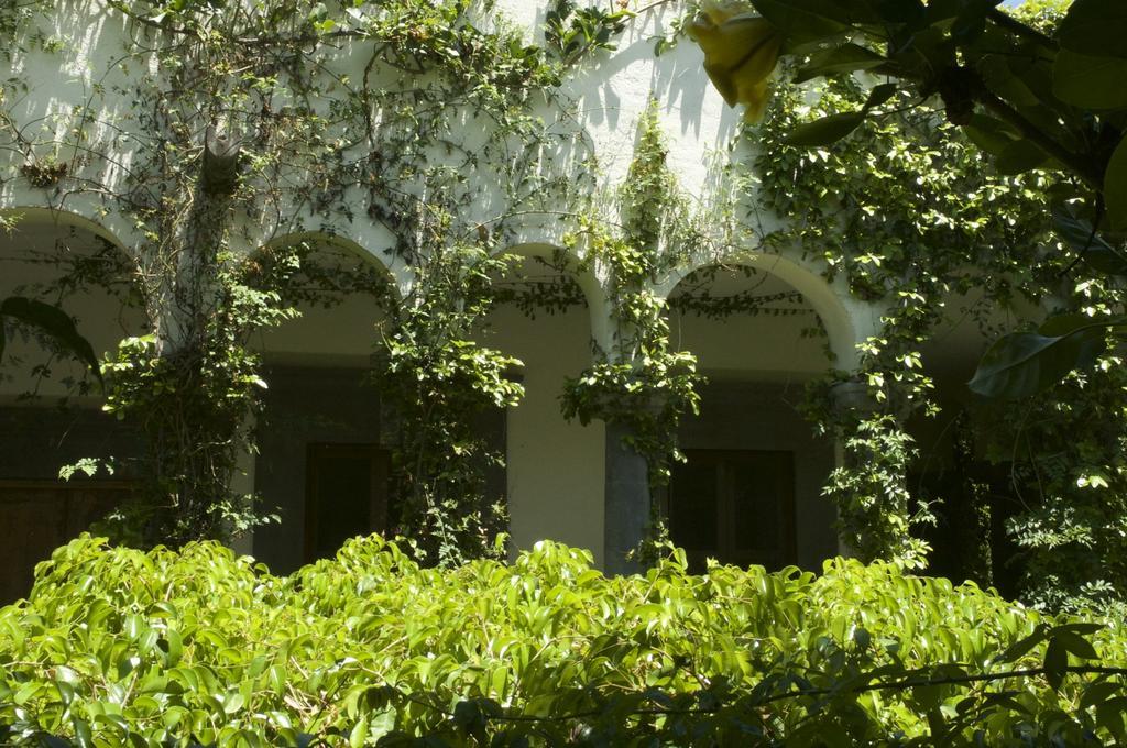 Hotel Casa Mision De San Miguel San Miguel de Allende Zewnętrze zdjęcie